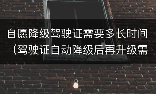 自愿降级驾驶证需要多长时间（驾驶证自动降级后再升级需多长时）