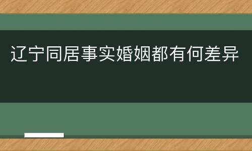 辽宁同居事实婚姻都有何差异