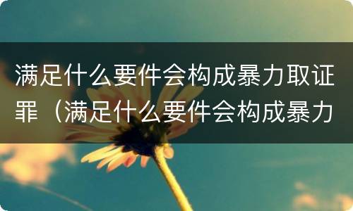 满足什么要件会构成暴力取证罪（满足什么要件会构成暴力取证罪行）