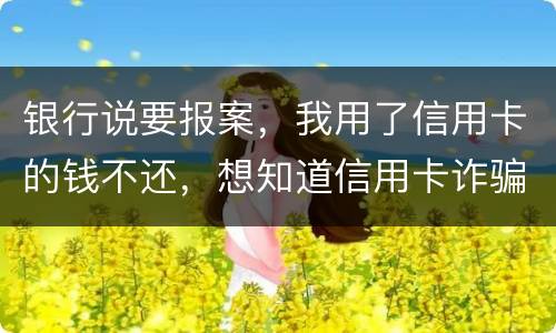 银行说要报案，我用了信用卡的钱不还，想知道信用卡诈骗会判几年