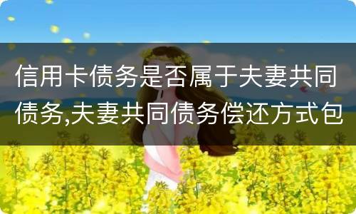 信用卡债务是否属于夫妻共同债务,夫妻共同债务偿还方式包括什么