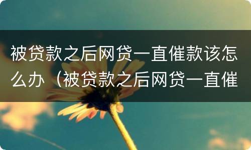 被贷款之后网贷一直催款该怎么办（被贷款之后网贷一直催款该怎么办呢）