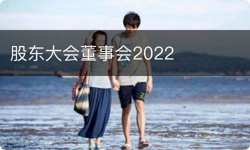 股东大会董事会2022
