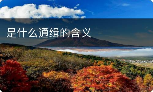 是什么通缉的含义