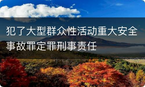 犯了大型群众性活动重大安全事故罪定罪刑事责任