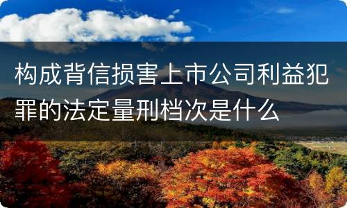 构成背信损害上市公司利益犯罪的法定量刑档次是什么