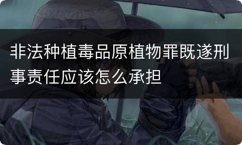 非法种植毒品原植物罪既遂刑事责任应该怎么承担