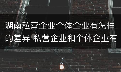 湖南私营企业个体企业有怎样的差异 私营企业和个体企业有什么区别