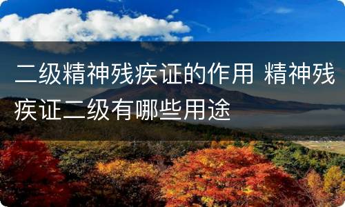 二级精神残疾证的作用 精神残疾证二级有哪些用途