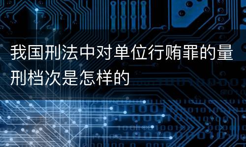 我国刑法中对单位行贿罪的量刑档次是怎样的