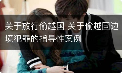 关于放行偷越国 关于偷越国边境犯罪的指导性案例