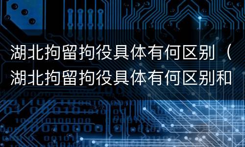 湖北拘留拘役具体有何区别（湖北拘留拘役具体有何区别和规定）