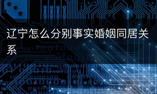 辽宁怎么分别事实婚姻同居关系