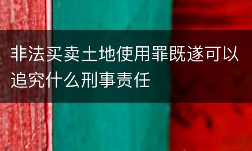 非法买卖土地使用罪既遂可以追究什么刑事责任