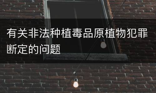 有关非法种植毒品原植物犯罪断定的问题