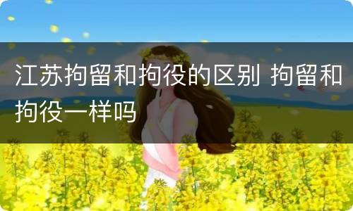 江苏拘留和拘役的区别 拘留和拘役一样吗