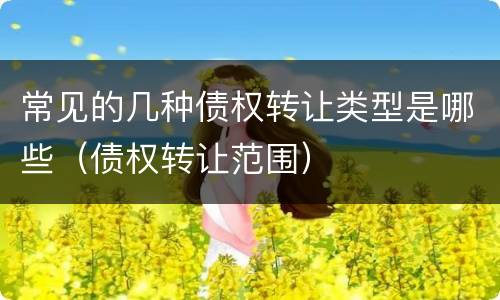 常见的几种债权转让类型是哪些（债权转让范围）