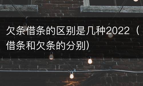 欠条借条的区别是几种2022（借条和欠条的分别）