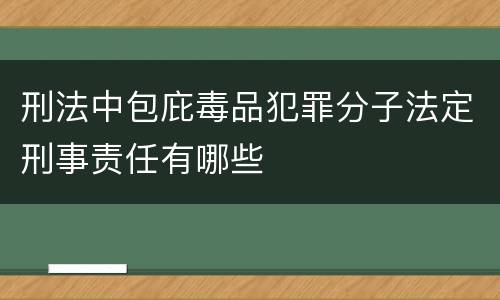 刑法中包庇毒品犯罪分子法定刑事责任有哪些