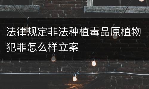 法律规定非法种植毒品原植物犯罪怎么样立案