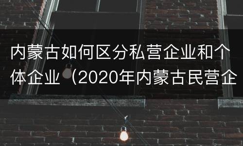 内蒙古如何区分私营企业和个体企业（2020年内蒙古民营企业）