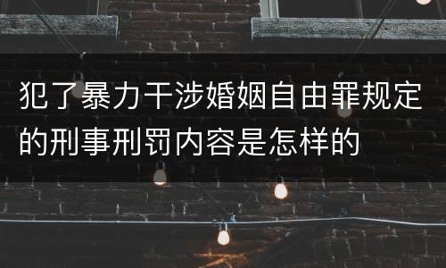 犯了暴力干涉婚姻自由罪规定的刑事刑罚内容是怎样的