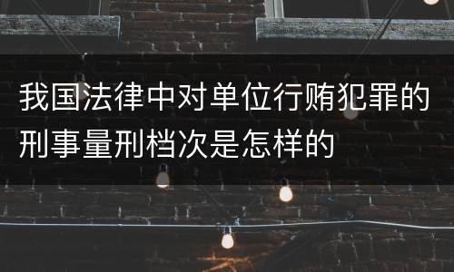 我国法律中对单位行贿犯罪的刑事量刑档次是怎样的