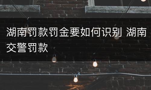 湖南罚款罚金要如何识别 湖南交警罚款