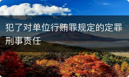 犯了对单位行贿罪规定的定罪刑事责任