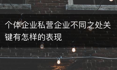 个体企业私营企业不同之处关键有怎样的表现