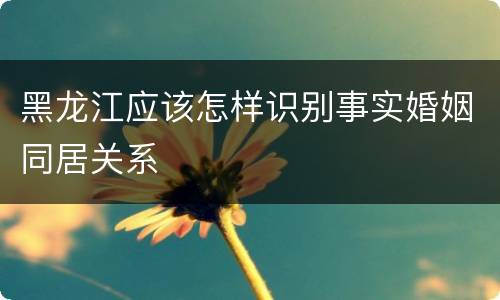 黑龙江应该怎样识别事实婚姻同居关系