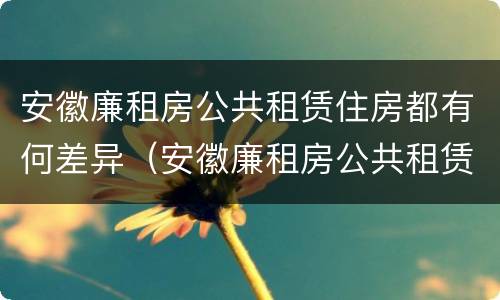 安徽廉租房公共租赁住房都有何差异（安徽廉租房公共租赁住房都有何差异和不足）