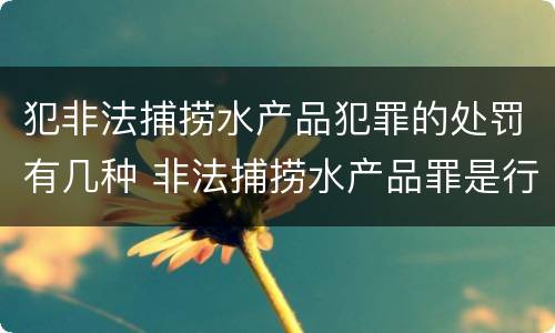 犯非法捕捞水产品犯罪的处罚有几种 非法捕捞水产品罪是行为犯吗