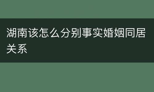 湖南该怎么分别事实婚姻同居关系