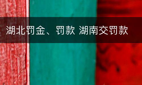 湖北罚金、罚款 湖南交罚款