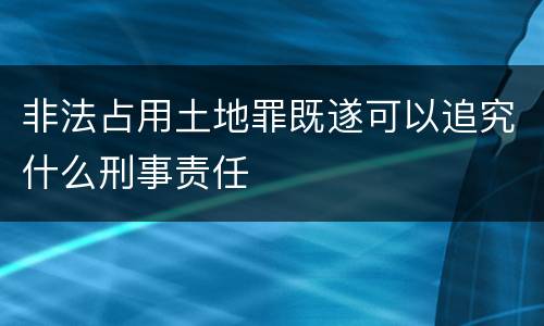 非法占用土地罪既遂可以追究什么刑事责任