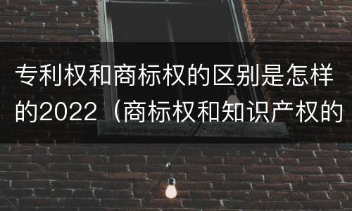 专利权和商标权的区别是怎样的2022（商标权和知识产权的区别）