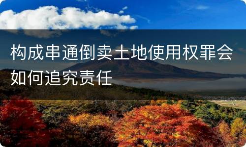 构成串通倒卖土地使用权罪会如何追究责任