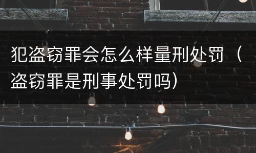 犯盗窃罪会怎么样量刑处罚（盗窃罪是刑事处罚吗）