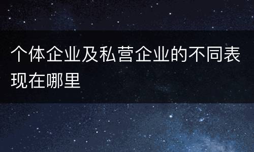 个体企业及私营企业的不同表现在哪里