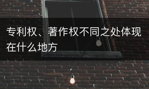 专利权、著作权不同之处体现在什么地方