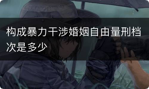 构成暴力干涉婚姻自由量刑档次是多少