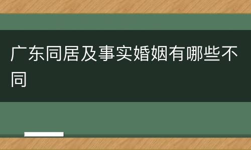 广东同居及事实婚姻有哪些不同