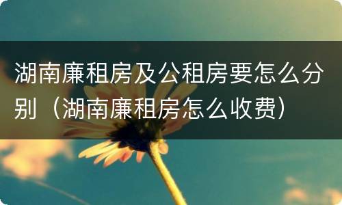 湖南廉租房及公租房要怎么分别（湖南廉租房怎么收费）