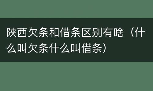 陕西欠条和借条区别有啥（什么叫欠条什么叫借条）