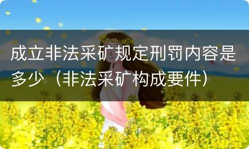 成立非法采矿规定刑罚内容是多少（非法采矿构成要件）
