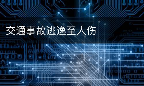 交通事故逃逸至人伤