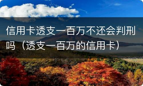 信用卡透支一百万不还会判刑吗（透支一百万的信用卡）