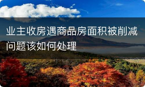 业主收房遇商品房面积被削减问题该如何处理