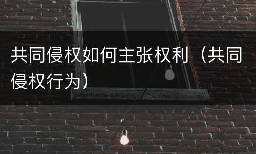 共同侵权如何主张权利（共同侵权行为）